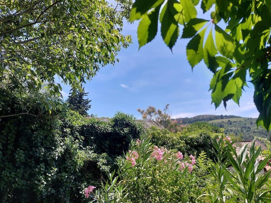 Vue De Rennes-Le-Chateau Couiza Extérieur photo